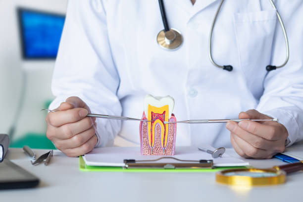 Emergency Gum Pain Relief in OH